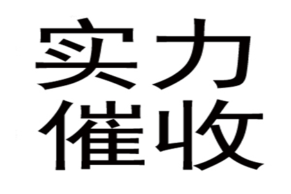 民间借贷强制执行可行性分析